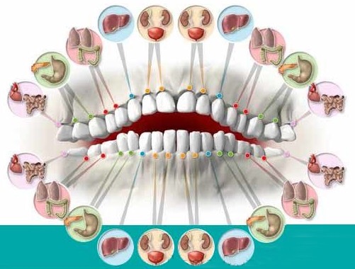 odontologia biologica